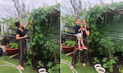 Ngắm khu vườn trong biệt thự trồng đủ loại rau củ của Ốc Thanh Vân