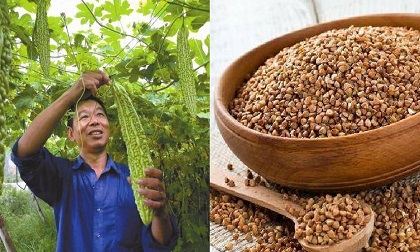 3 thực phẩm ăn mỗi tuần 1 lần, tiểu đường sẽ tự khắc biến mất