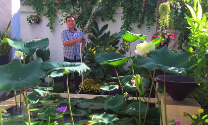 Biệt thự 21 tỷ đẹp hoàn hảo sau khi được tu sửa lại của vợ chồng MC Quyền Linh