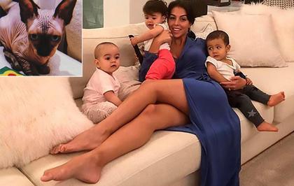 Nhà Cristiano Ronaldo khoe vật nuôi đắt nhất thế giới