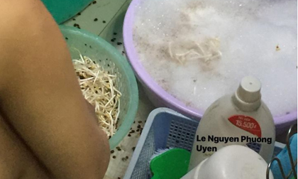 Dùng nước rửa chén rửa giá, hình ảnh chia sẻ của bà nội trợ gây tranh luận 'nảy lửa'