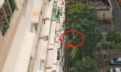 Bé trai 2 tuổi sống sót kỳ diệu sau khi rơi từ tầng 11 xuống đất