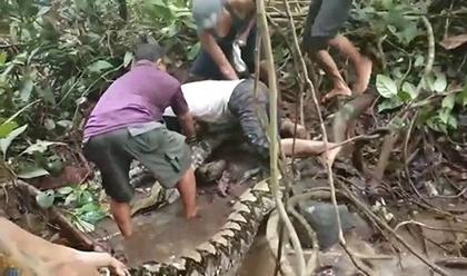 Đi đánh cá, 6 thanh niên vật lộn với trăn khổng lồ dài 8m