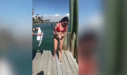 Cô gái mặc bikini giải cứu chú chim mắc kẹt gây sốt 