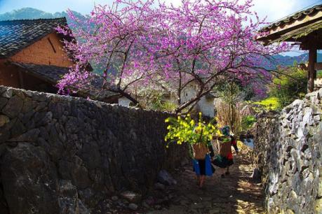 Những điểm du lịch lý tưởng nhất cho chuyến du xuân dịp Tết Nguyên đán 2019 