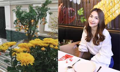 Tăng Thanh Hà khoe khéo biệt thự triệu đô ngập tràn sắc hoa đón Tết