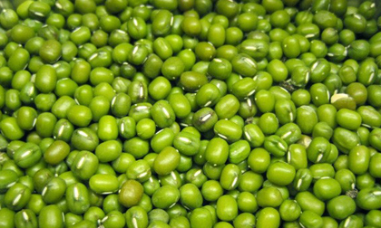 Đậu xanh - Thực phẩm “vàng” cho sức khỏe