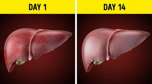 Điều gì sẽ xảy ra nếu bạn ngưng uống rượu bia trong 28 ngày?