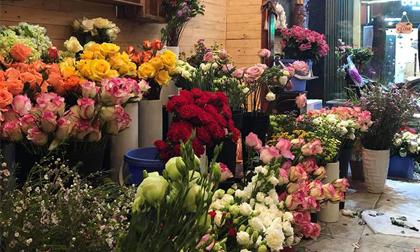 Anh chủ cửa hàng hoa gặp đúng người 'ngáo đá' ngày 8/3 và cái kết bất ngờ