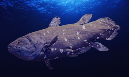 'Quái thú' bất ngờ 'sống dậy từ cõi chết' sau ngàn năm: Giới khoa học ngạc nhiên tột độ