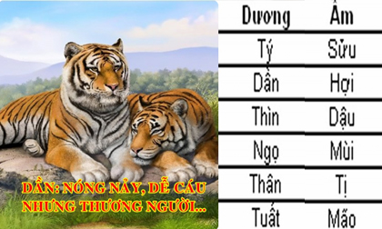 Soi luật âm dương hiểu hết 100% bản chất con người 12 con giáp, chuẩn xác bất ngờ