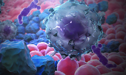 Những người không dễ bị ung thư đều có 4 điểm chung: Hãy xem bạn có thuộc nhóm này không?