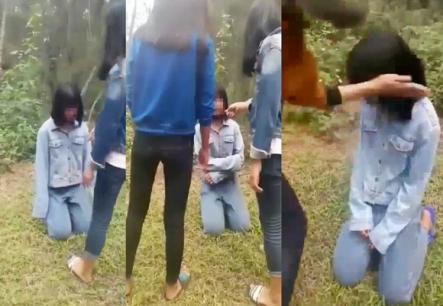 Vụ nhóm nữ sinh bắt bạn quỳ trong rừng rồi đánh: Em 'chủ mưu' là học sinh giỏi