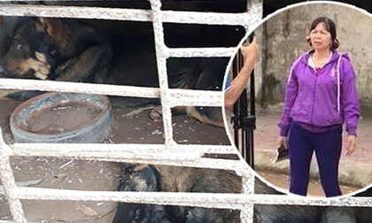 Chủ đàn chó cắn bé trai 7 tuổi tử vong: 'Nuôi chó để vui cửa vui nhà, sự việc xảy ra tôi cũng ân hận lắm'