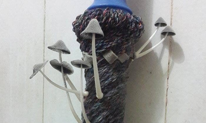 Cộng đồng mạng xôn xao trước hình ảnh nấm mọc ra từ gậy lau nhà: Bằng chứng hùng hồn của việc gái xinh ở bẩn