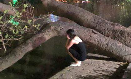 Bị người yêu bỏ khi đang mang bầu, cô gái vừa khóc vừa chửi nhau với cái bóng của chính mình ở Hồ Gươm