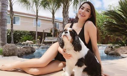 Sau khoảng thời gian bị chê tiều tụy, gầy gò, Hoa hậu Phạm Hương giờ đã được nhắc khéo 'béo thế'