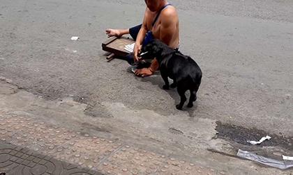 Chó cưng phụ giúp ông chủ tàn tật bán vé số khiến nhiều người cảm động