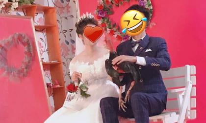 Mê gà ngang ngửa vợ, thanh niên quyết định đem cả thú cưng đi chụp ảnh cưới 