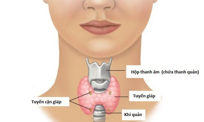 Nếu số phận bắt phải bị ung thư, nhiều người ước 'được' mắc loại bệnh này