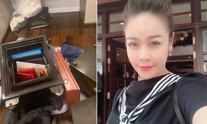 Mạnh mẽ như Nhật Kim Anh, liên tục đăng status trấn an bản thân sau khi mất 5 tỷ đồng