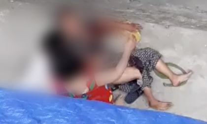 Kinh hoàng clip cụ bà ở Hà Nội bị chó cắn máu me đầm đìa, người phụ nữ cố giải cứu trong bất lực