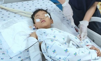 Bé 5 tuổi rơi từ tầng 12 chung cư thoát chết kì diệu