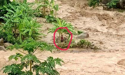 Thiệt hại do hoàn lưu bão số 3: Ít nhất 4 người chết và 13 người mất tích