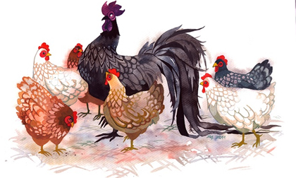 Tháng 9: 3 con giáp bước vào thời kỳ hoàng kim, chớp mắt đổi đời khiến ai cũng mơ ước