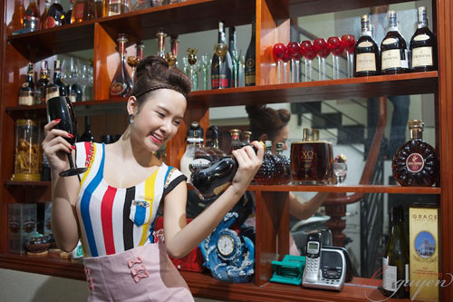 nhà của Phương Trinh,nhà của sao