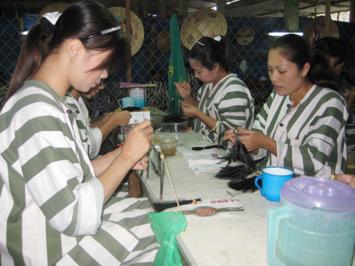 nữ tù,thiên thần,sa ngã