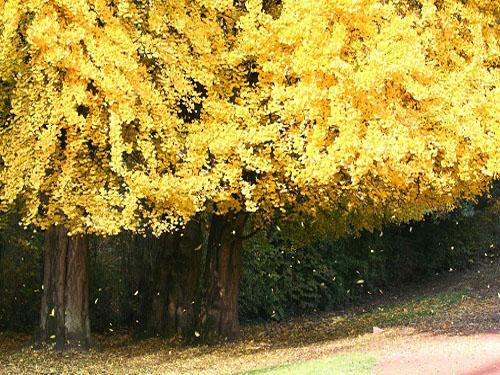 Cảnh đẹp,Du lịch nước ngoài