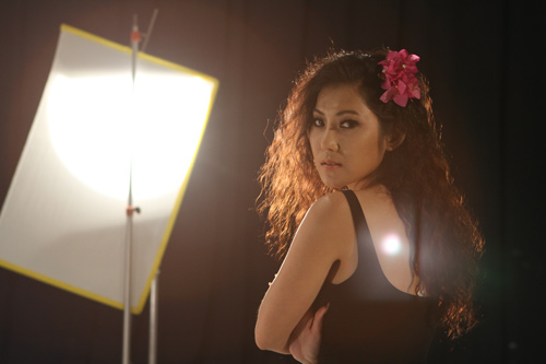  phuong de,kim phuong,vu dieu duong cong,vo thanh tam,viet anh,hoai linh,hong van,nguyen trong khoa,phim moi