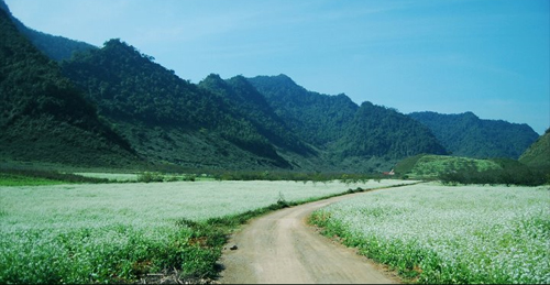 ảnh,ảnh đẹp,việt nam