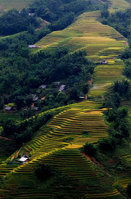 ảnh,ảnh đẹp,việt nam