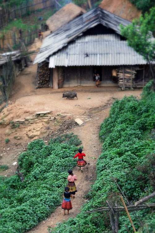 ảnh,ảnh đẹp,việt nam