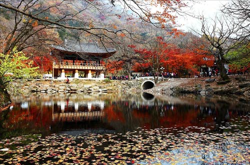 cảnh đẹp,ảnh đẹp,Seoul,Hàn Quốc,mùa thu