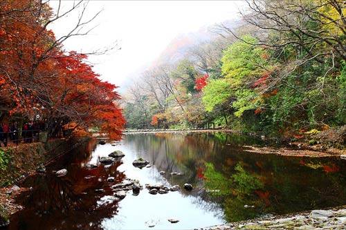 cảnh đẹp,ảnh đẹp,Seoul,Hàn Quốc,mùa thu