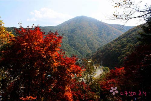 cảnh đẹp,ảnh đẹp,Seoul,Hàn Quốc,mùa thu