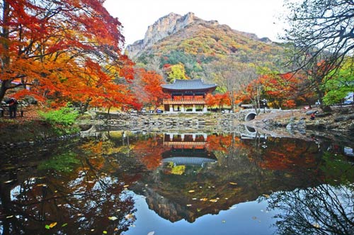 cảnh đẹp,ảnh đẹp,Seoul,Hàn Quốc,mùa thu