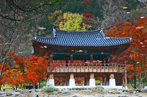 cảnh đẹp,ảnh đẹp,Seoul,Hàn Quốc,mùa thu