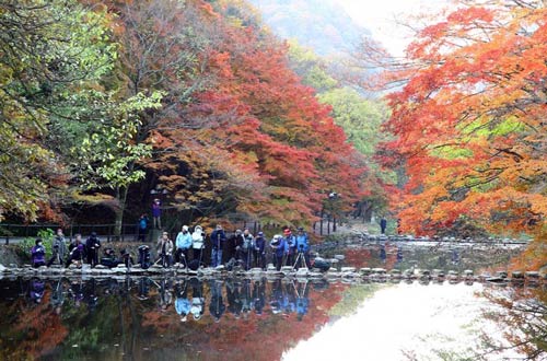 cảnh đẹp,ảnh đẹp,Seoul,Hàn Quốc,mùa thu