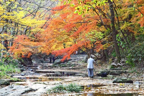 cảnh đẹp,ảnh đẹp,Seoul,Hàn Quốc,mùa thu