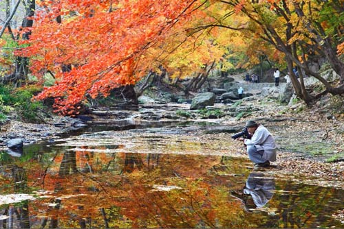 cảnh đẹp,ảnh đẹp,Seoul,Hàn Quốc,mùa thu