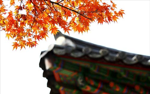 cảnh đẹp,ảnh đẹp,Seoul,Hàn Quốc,mùa thu
