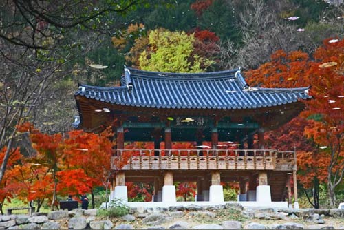 cảnh đẹp,ảnh đẹp,Seoul,Hàn Quốc,mùa thu