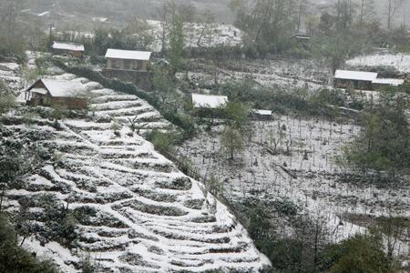 du lịch,cảnh đẹp,lào cai