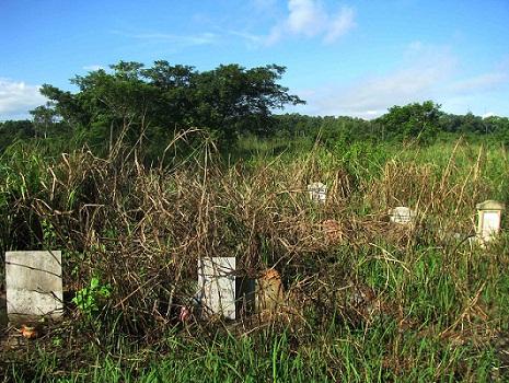 Phước,Phước tám ngón,sát nhân máu lạnh