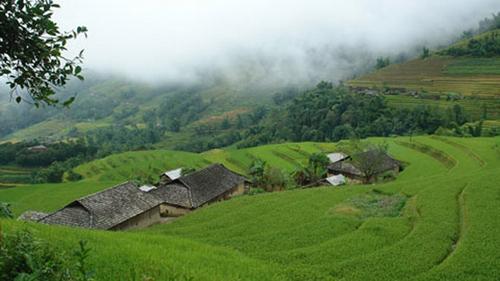 chuyen la,chuyen la co that,ruộng bậc thang,trái tim