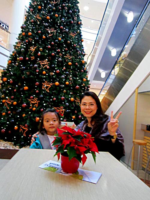 Thanh Thảo,Châu Âu,đón Noel,xả strees,ca sỹ,xuất ngoại,búp bê